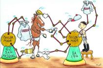 California Chrome 2016 San Pasqual Stakes