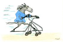 Dance Card 2012 Gazelle