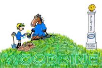 Hillstar 2014 Pattison Canadian International Stakes