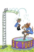 Main Sequence 2014 United Nations Stakes