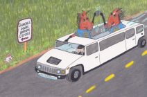 Uncle Mo Stay Thirsty Breeder's Cup 2011