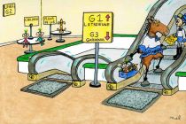 Molly Morgan 2015 La Troienne Stakes