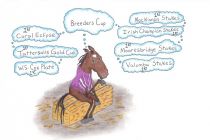 So You Think Breeder's Cup 2011