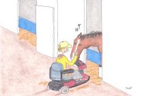 Union Rags Mrs Wyeth 2012 Belmont