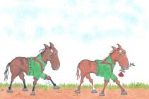 Went the Day Well 2012 Spiral Stakes